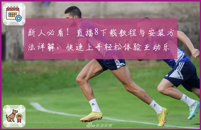新人必看！直播8下载教程与安装方法详解，快速上手轻松体验互动乐趣